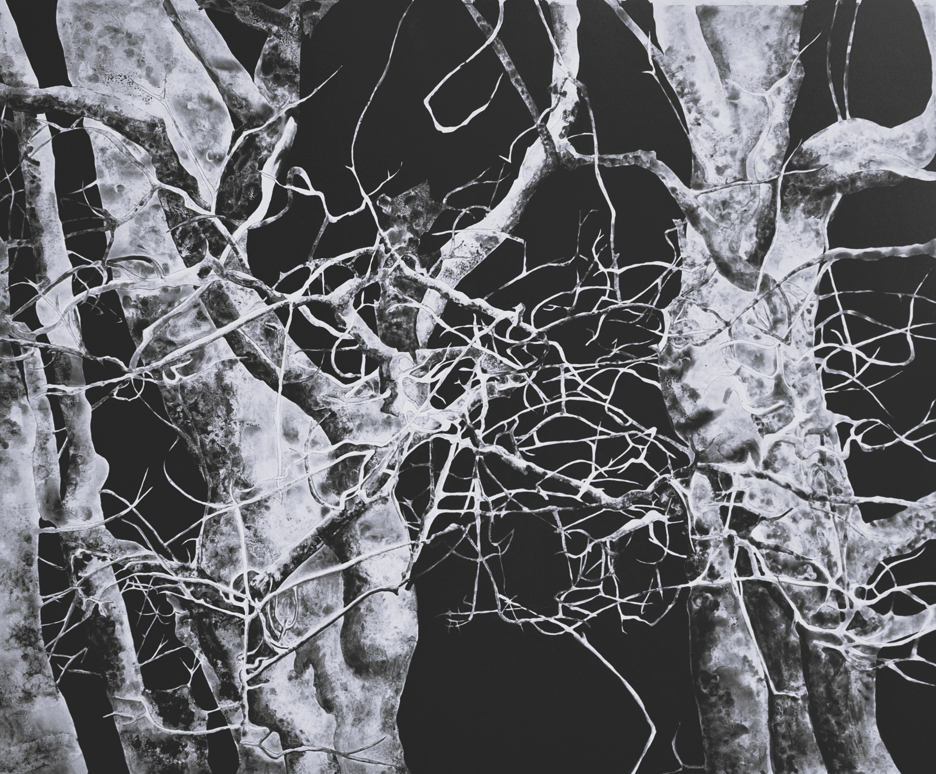 'Unknown 19072025 (Entangled)' (2025). Watercolor on paper, 59x50x2 cm cm